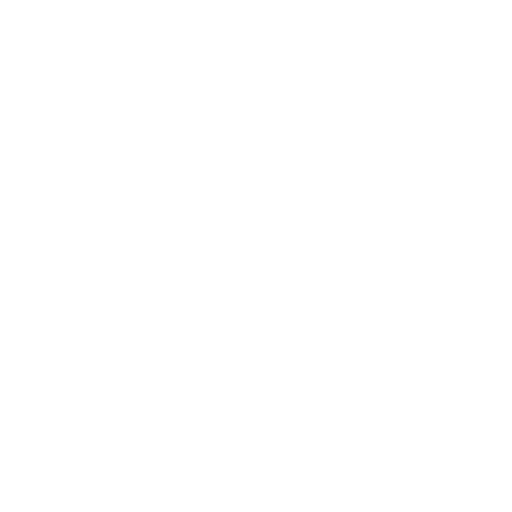 Expert Team